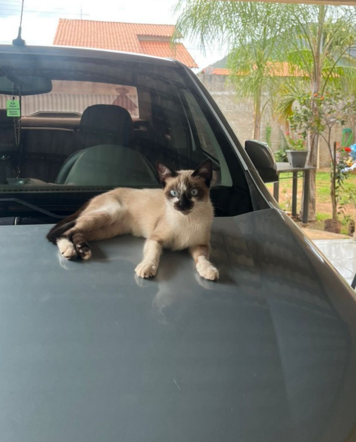 Foto de Mia